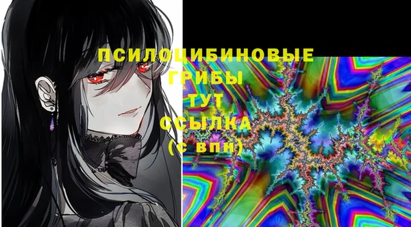 дживик Белоозёрский