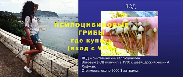 спайс Беломорск