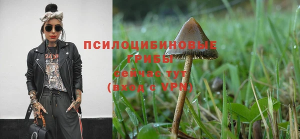 спайс Беломорск