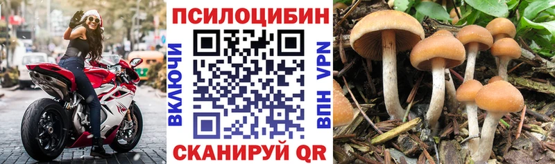 Псилоцибиновые грибы ЛСД  дарк нет состав  Бородино  даркнет сайт 
